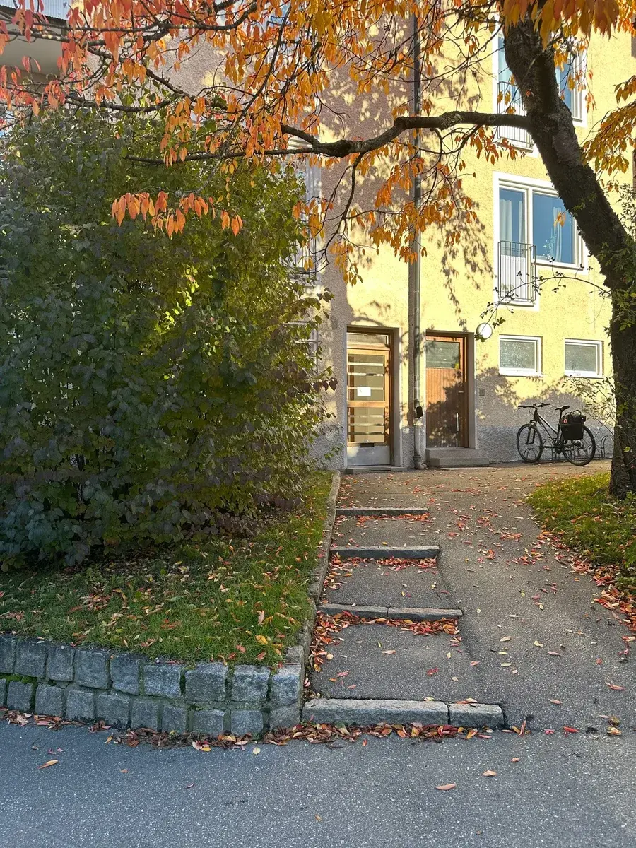A sidewalk with fallen autumn leaves outside the Enperfeitas building